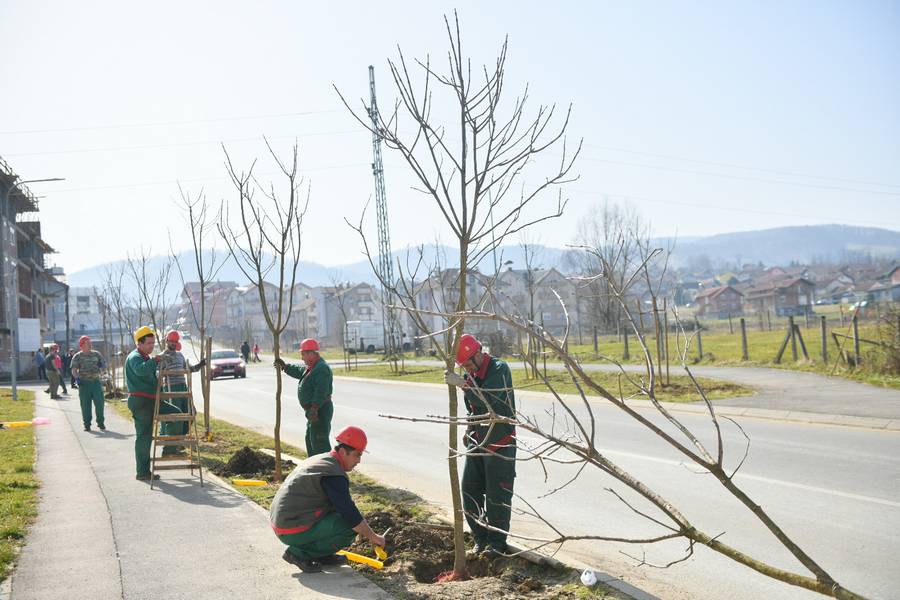 KO GRADI, MORA I DA SADI Novi prijedlog pred odbornicima Skupštine Grada (VIDEO)