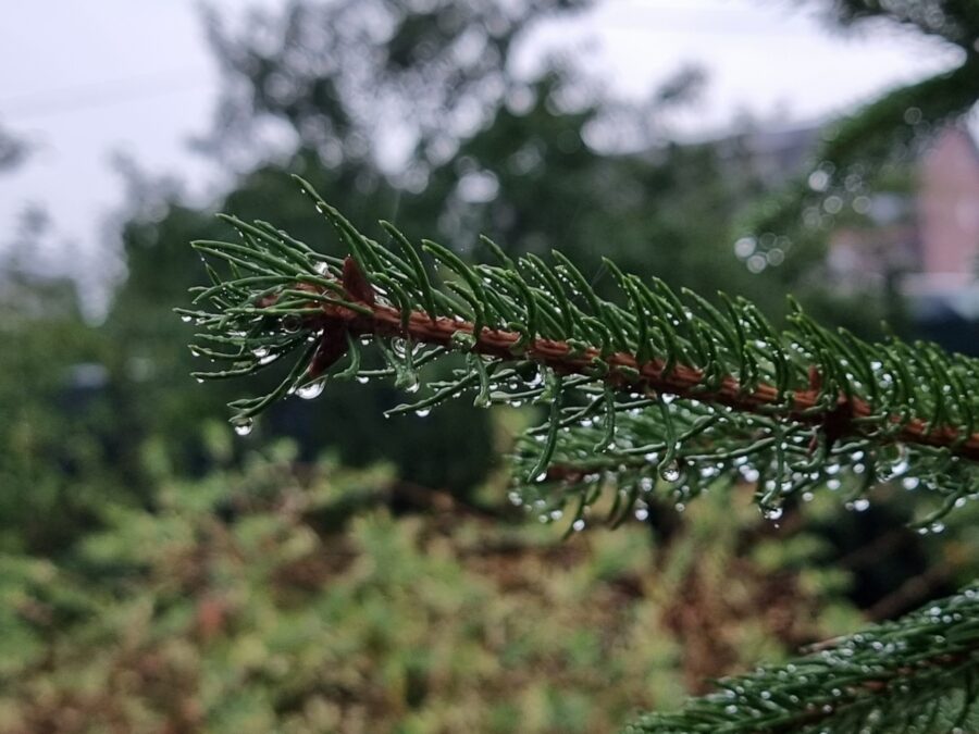 ZBOGOM VRUĆINE Pogledajte prognozu do petka, dnevna temperatura pada na 16 stepeni