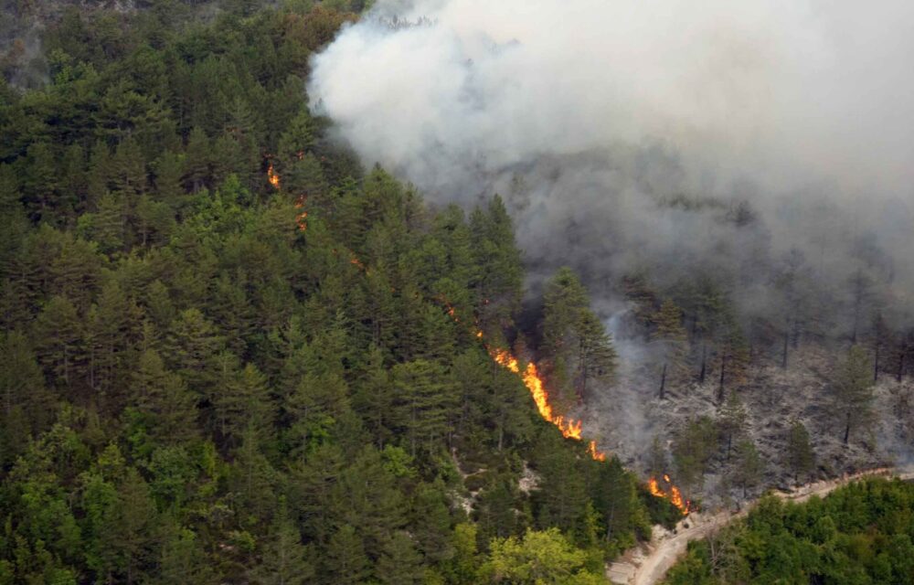 Vrućine do daljnjeg: Meteorolozi upozorili na požare