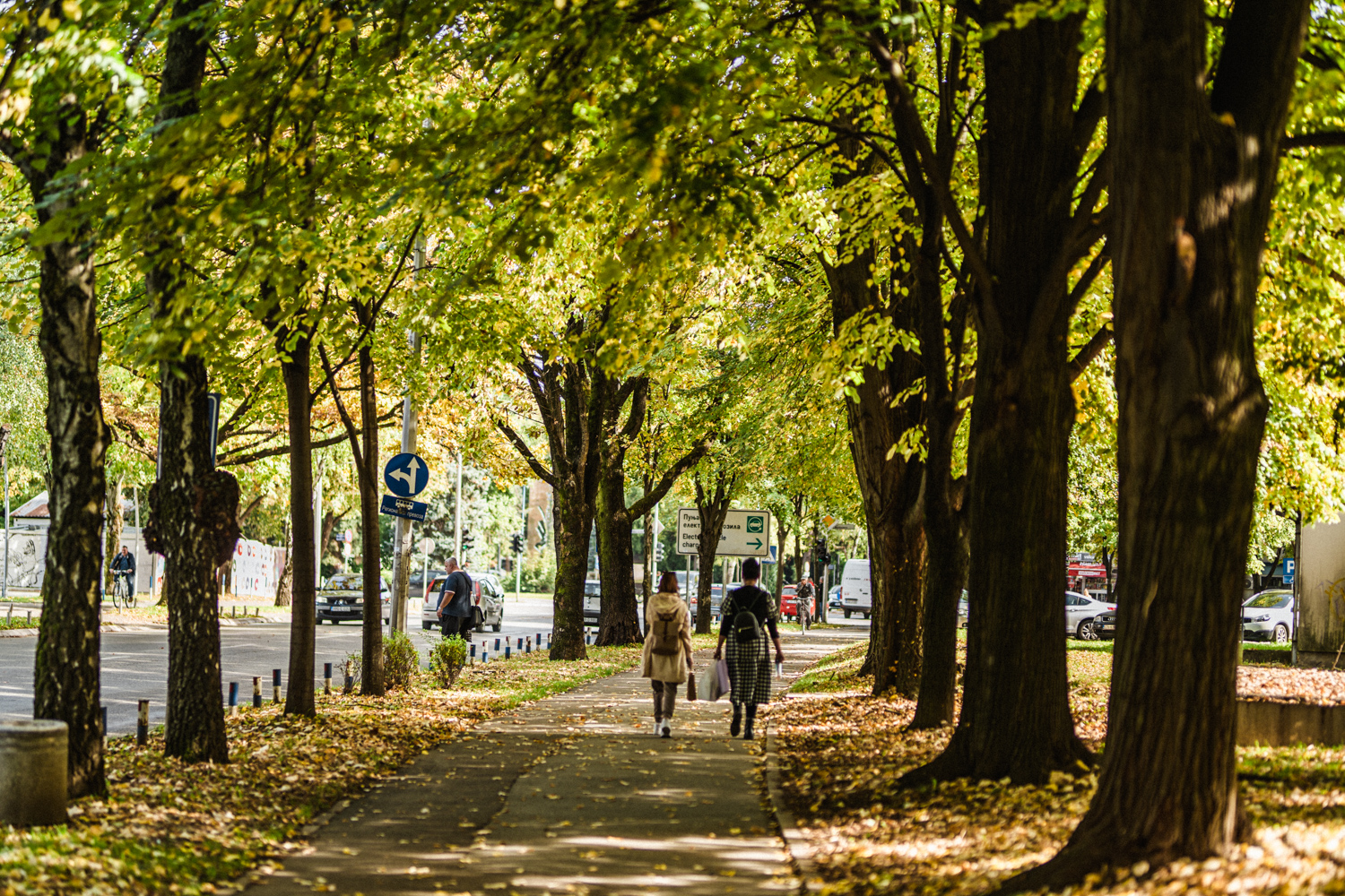 Popodne naoblačenje uz slabu kišu, temperature do 19 stepeni