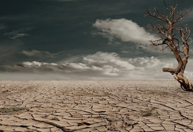 Oboreni svi klimatski rekordi, a evo šta nas čeka