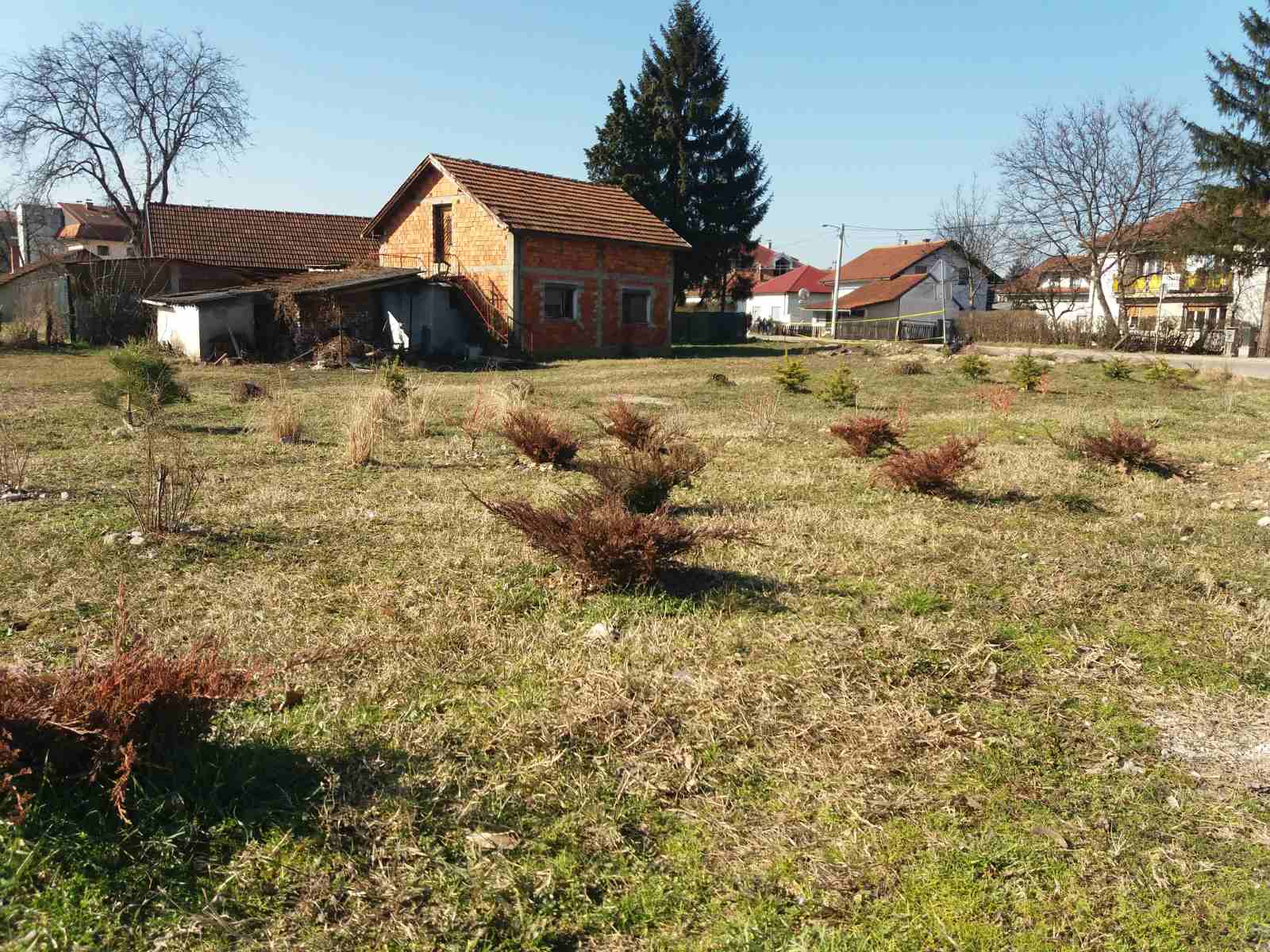 NEKO VEĆ BACIO KESU Nakon pisanja BLinka očišćena deponija u Lazarevu (FOTO)