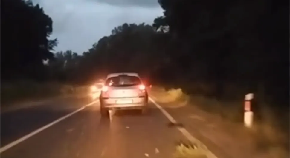 Užasan snimak iz Srbije: Drvo palo na auto usred vožnje (VIDEO)