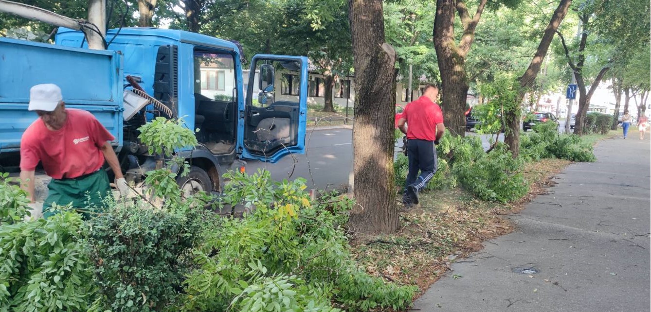 NAKON OLUJE Ekipe na terenu, uklanjaju oštećena stabla