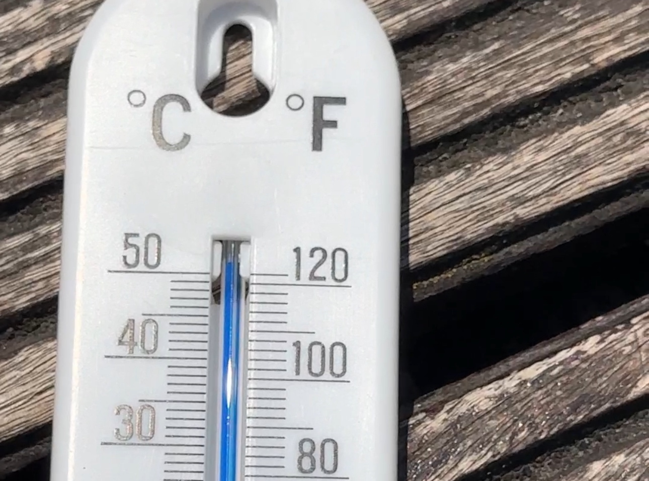 ŽIVA SKAČE NA 42 STEPENA Upozorenje zbog visoke temperature!