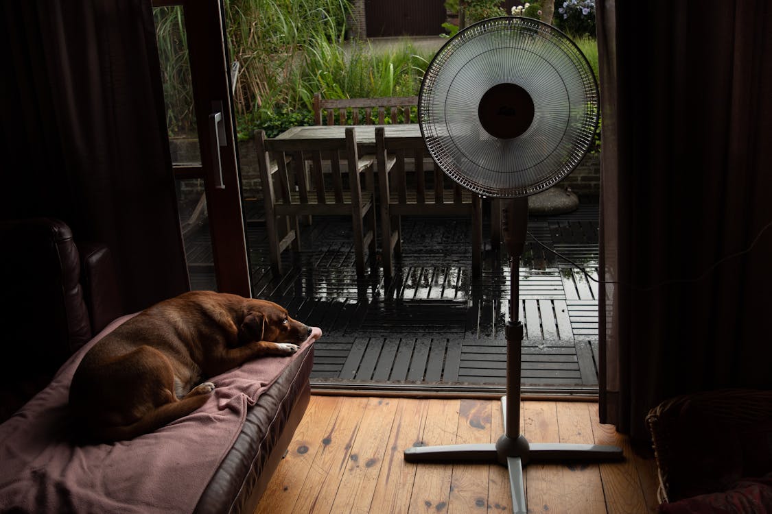 VRUĆINE UZELE MAHA U banjalučkim marketima nestalo ventilatora