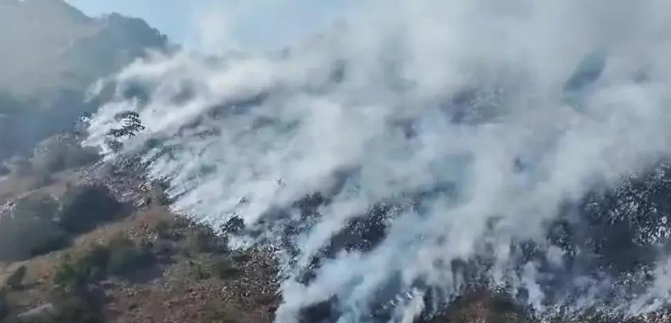 Vatra stigla skoro do rijeke: Rasplamsao se požar u NP “Sutjeska”