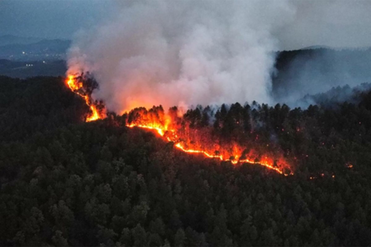 Tokom dana se čule eksplozije: Gori šuma na minskom području