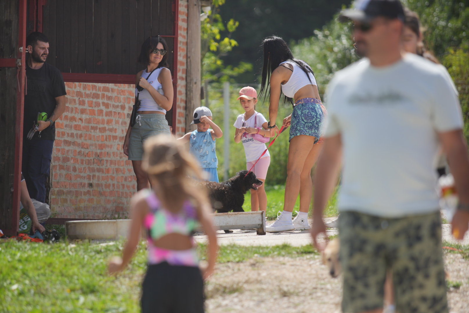 Ogromna zainteresovanost: „Velika šetnja“ pasa u azil na Manjaču privukla mnoštvo ljubitelja životinja (FOTO)